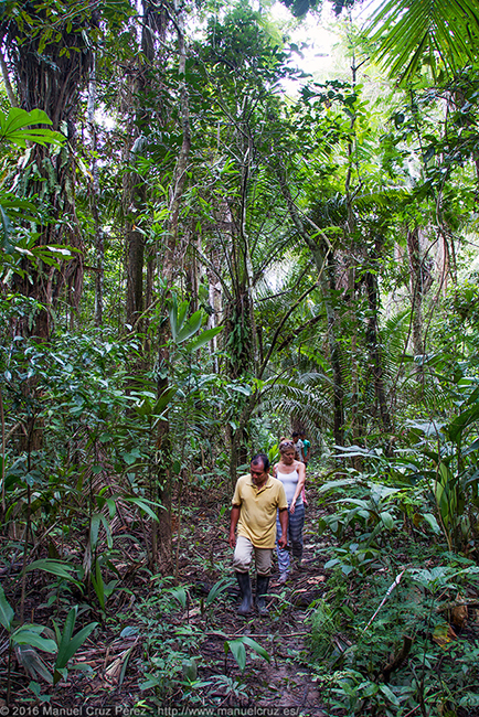 Un guía nos introduce en la selva cerca de Lagunas.